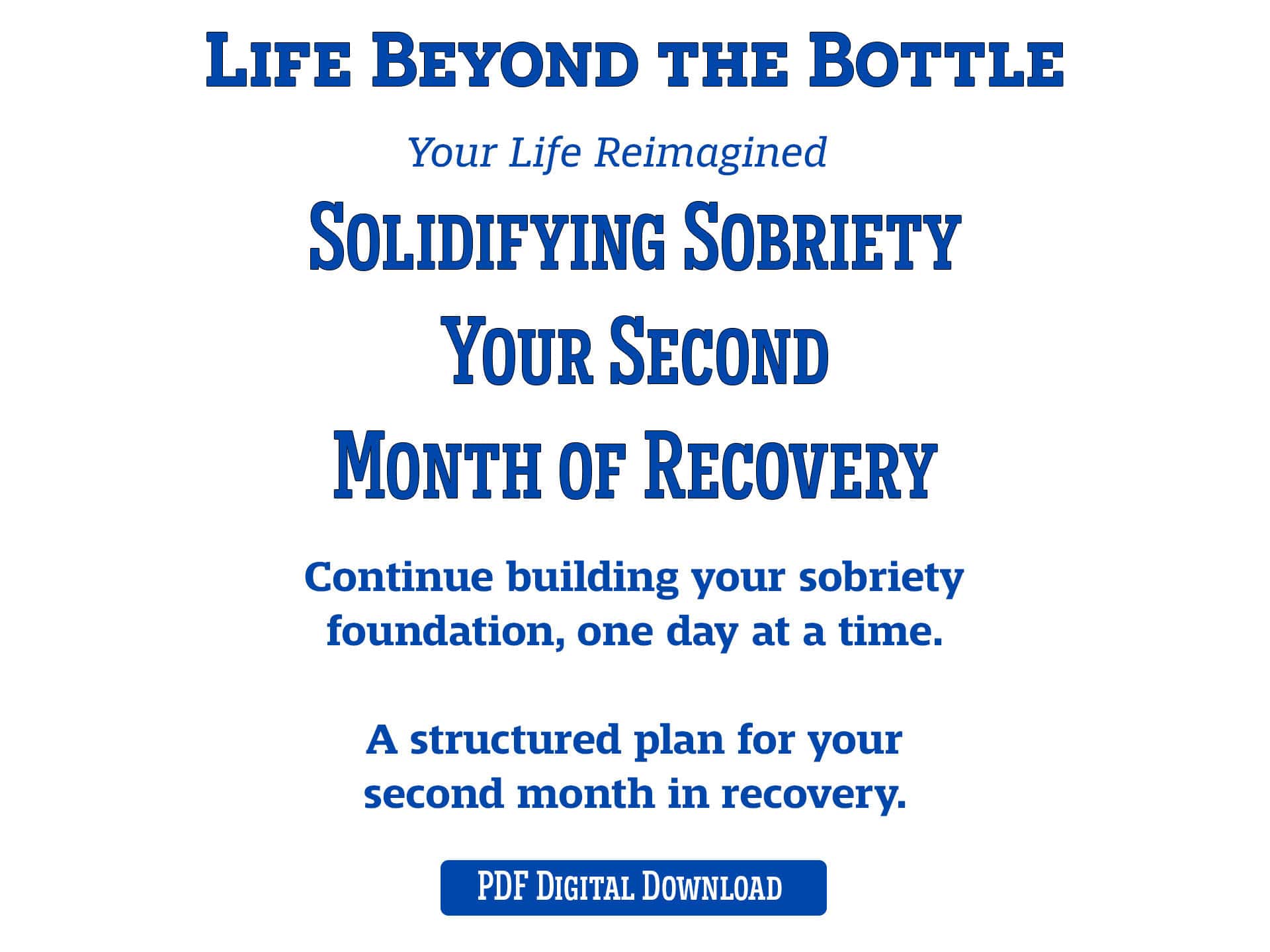 Life Beyond the Bottle Solidifying Sobriety workbook cover page. Blue text on a white background.