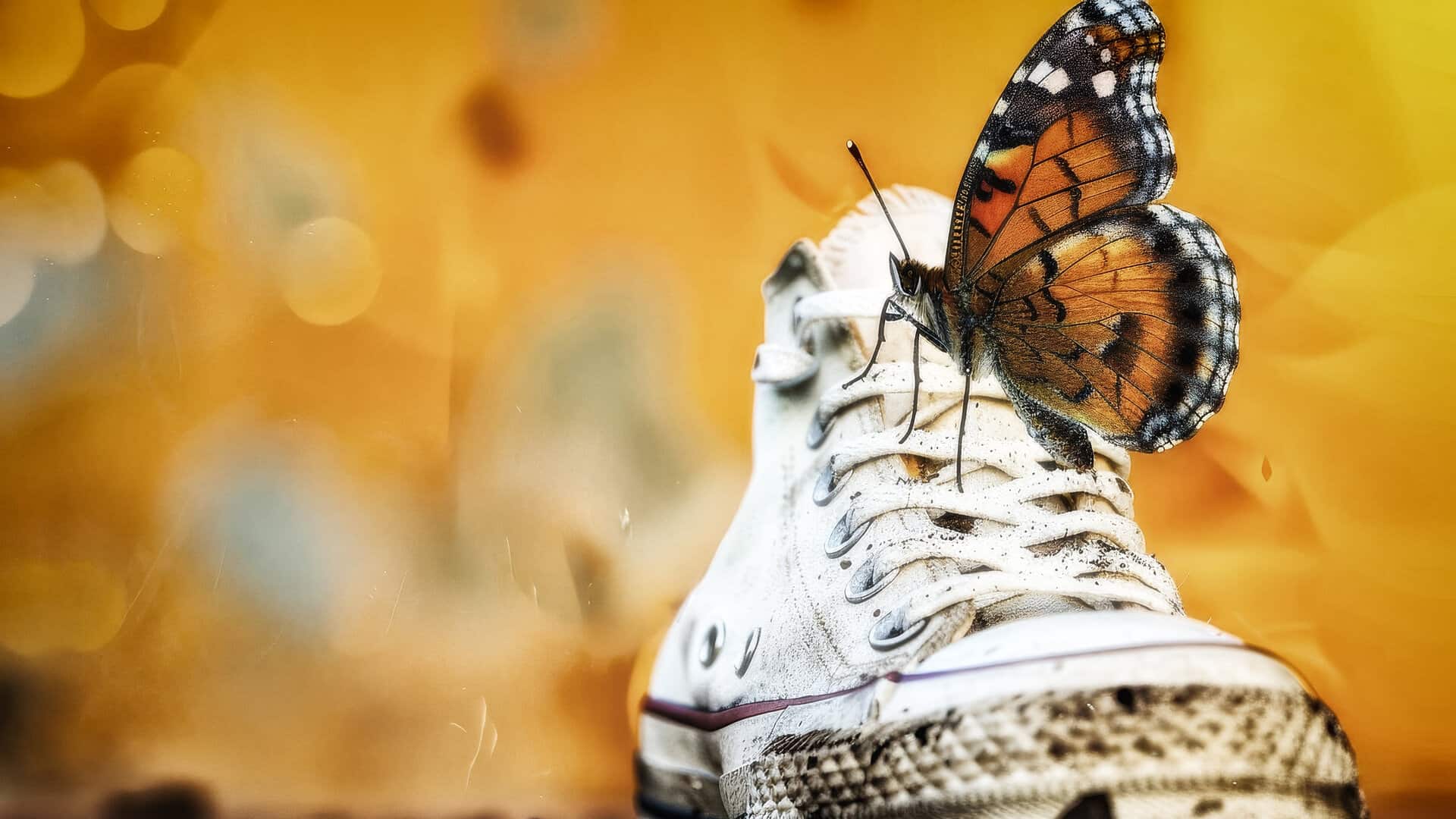 Rediscover and Reinvent Yourself in Addiction Recovery: A Transformation Journey